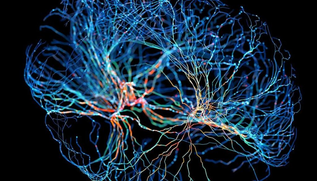 Călătoria personală și profesională